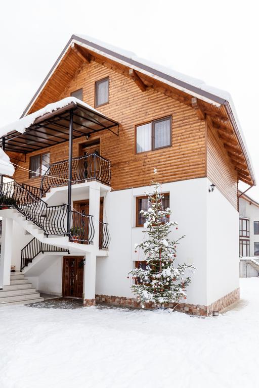Vila Fan Confort Vişeu de Sus 外观 照片