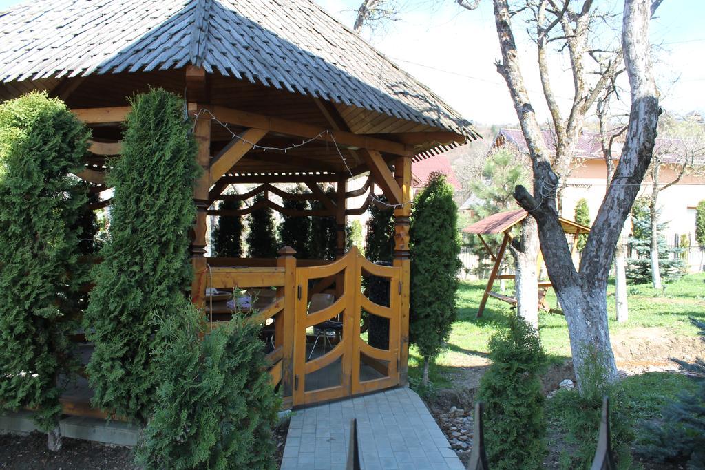 Vila Fan Confort Vişeu de Sus 外观 照片