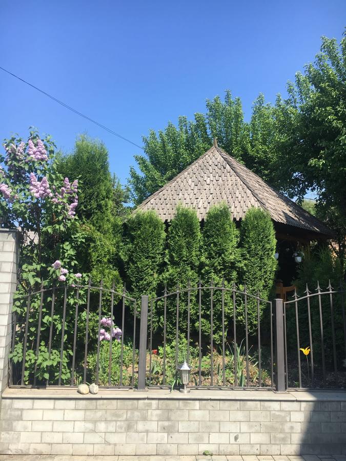 Vila Fan Confort Vişeu de Sus 外观 照片