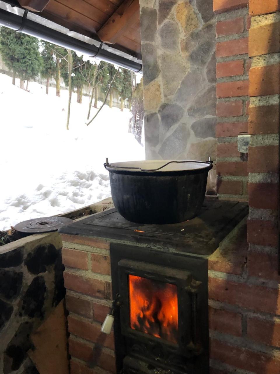 Vila Fan Confort Vişeu de Sus 外观 照片