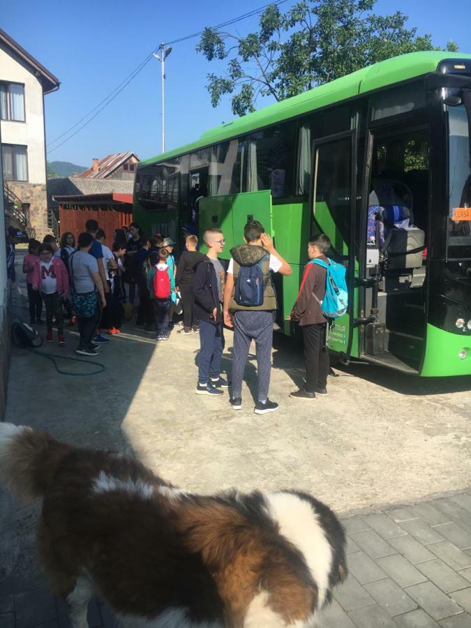 Vila Fan Confort Vişeu de Sus 外观 照片