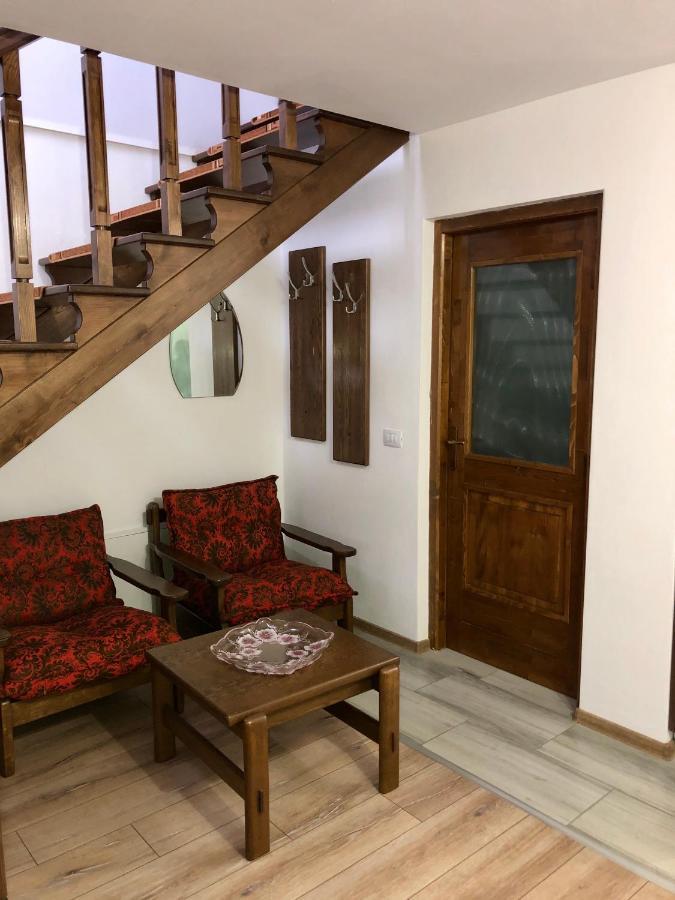 Vila Fan Confort Vişeu de Sus 外观 照片