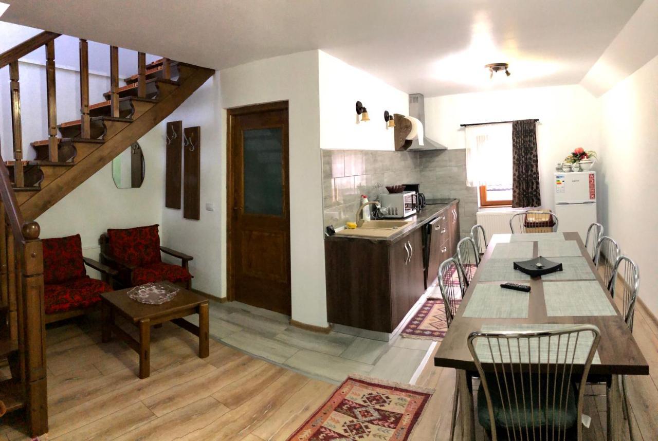Vila Fan Confort Vişeu de Sus 外观 照片