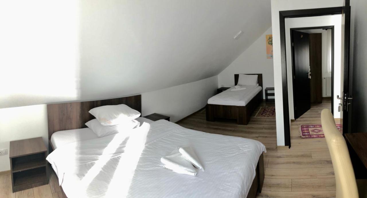 Vila Fan Confort Vişeu de Sus 外观 照片